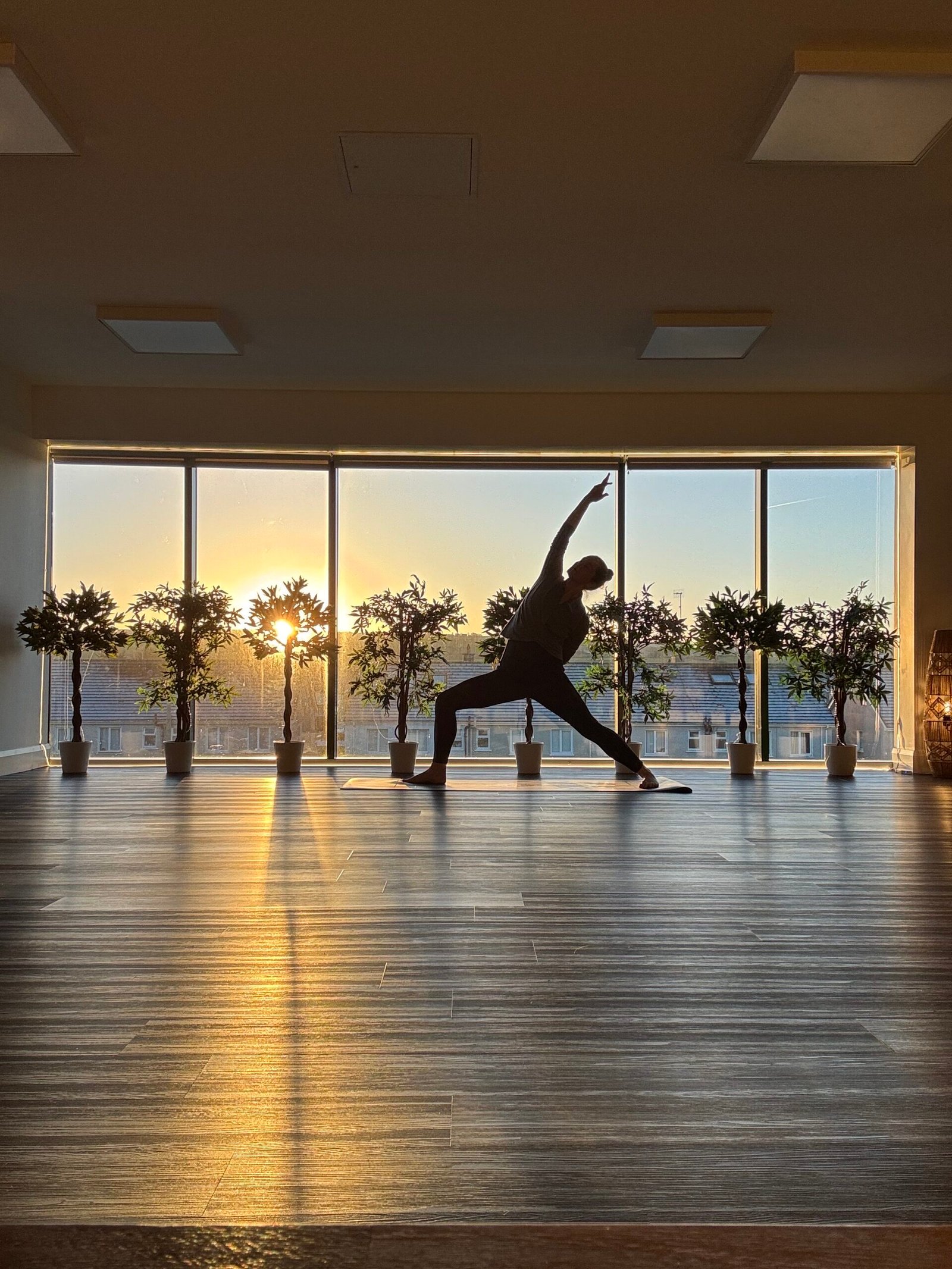 Mixed Level Vinyasa Flow